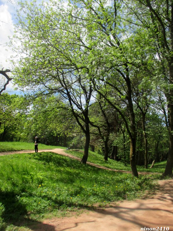 Кисловодск. В курортном парке - Нина Бутко