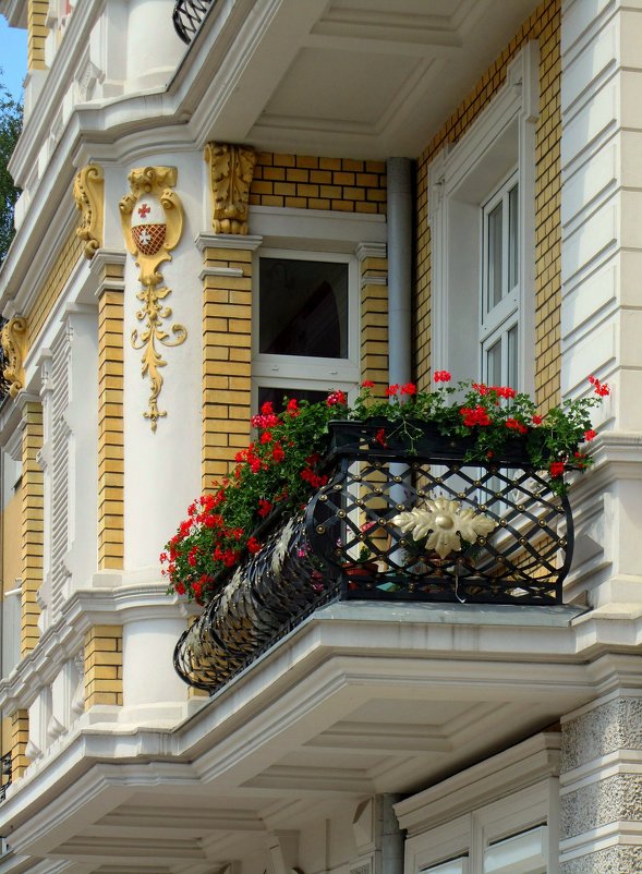 Балкон - Сергей Карачин