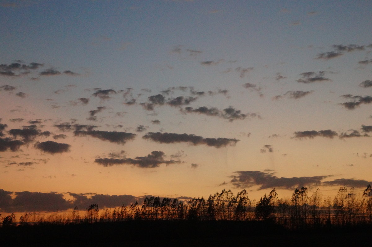 закат в поле - Анастасия 