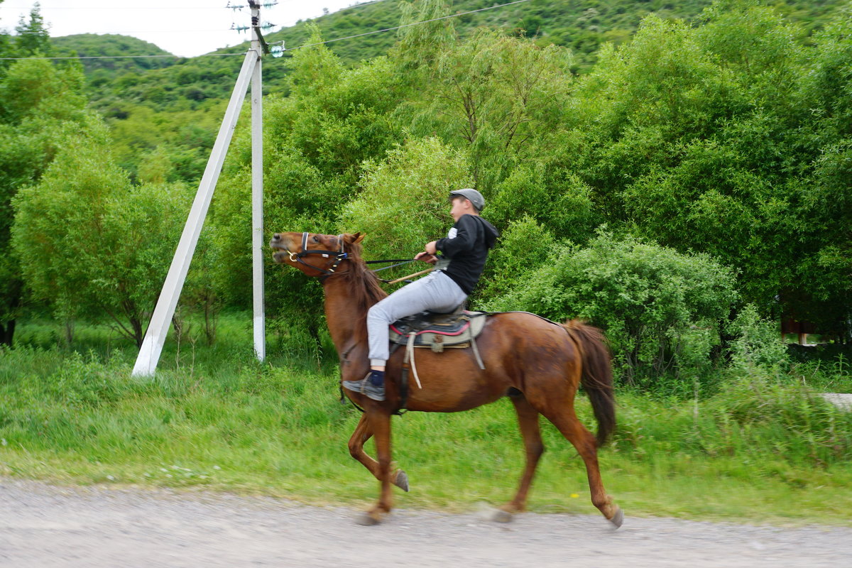 Тургень - Murat Bukaev 