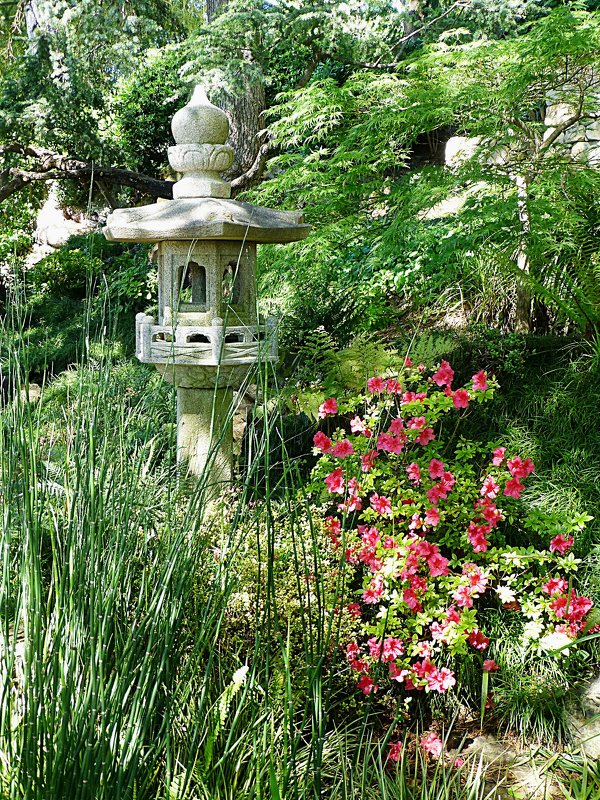Японский сад - Лидия Бусурина