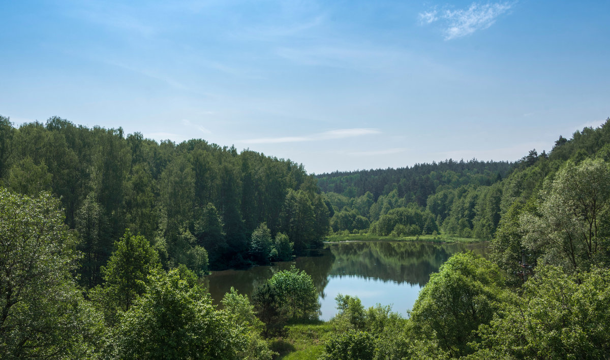 *** - Владимир Безбородов