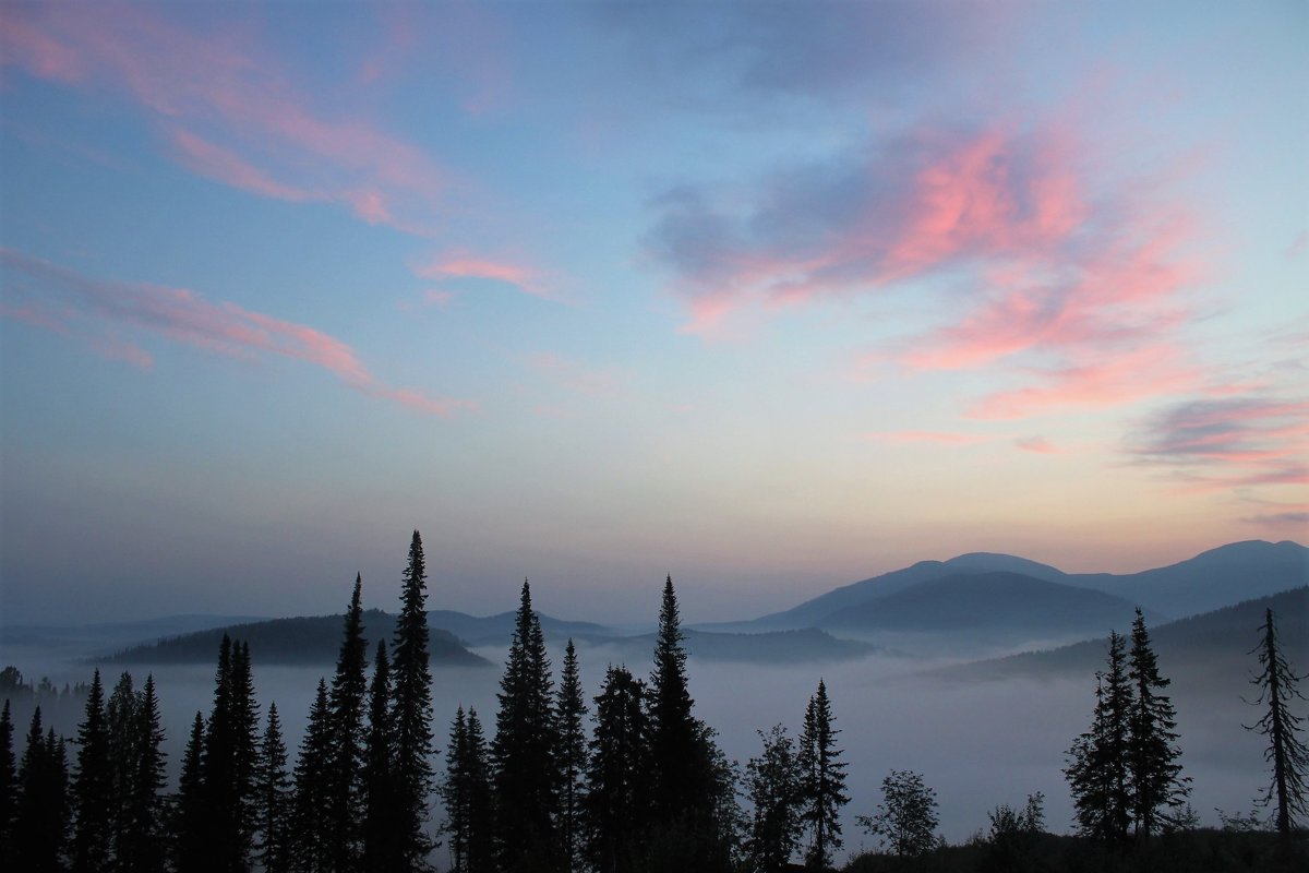 Туман перед восходом - Сергей Чиняев 