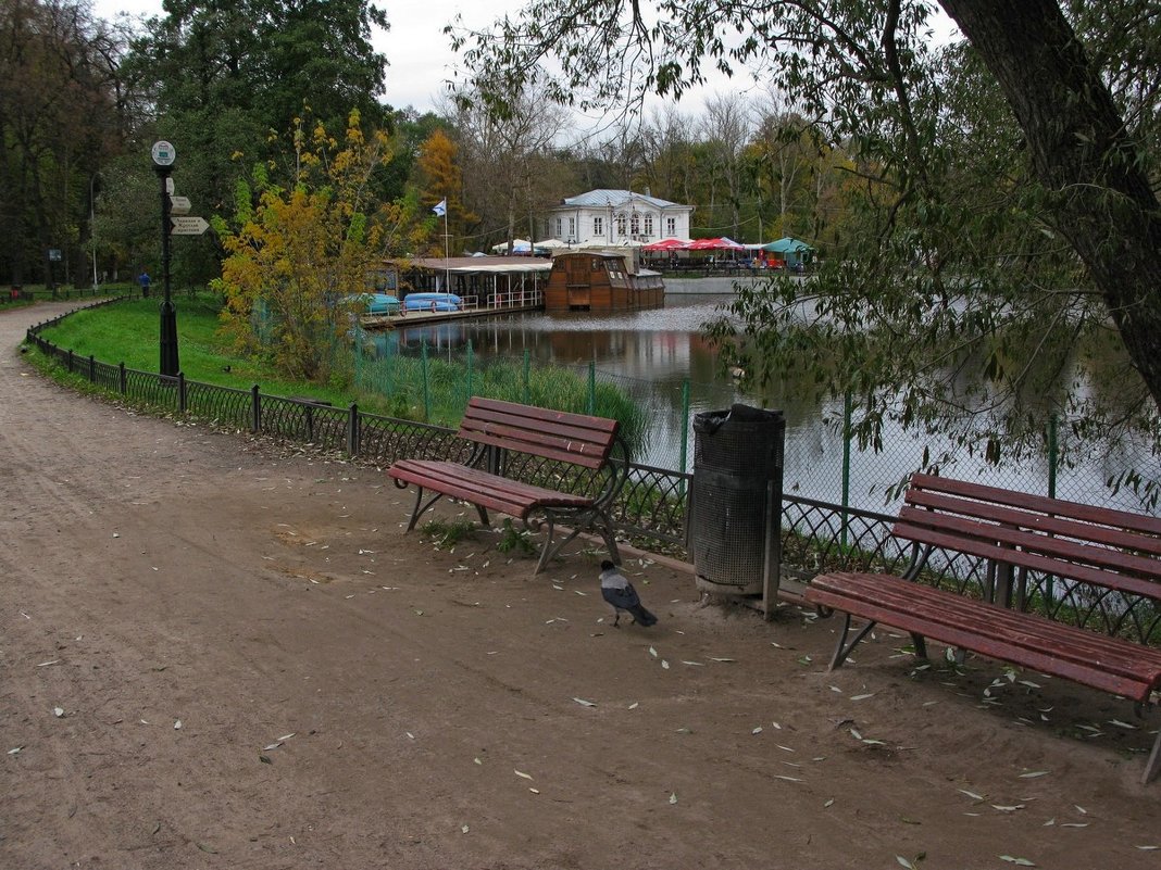 В Кузьминском парке осенью - Игорь Белоногов
