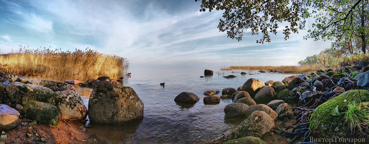 Финский залив - Laryan1 