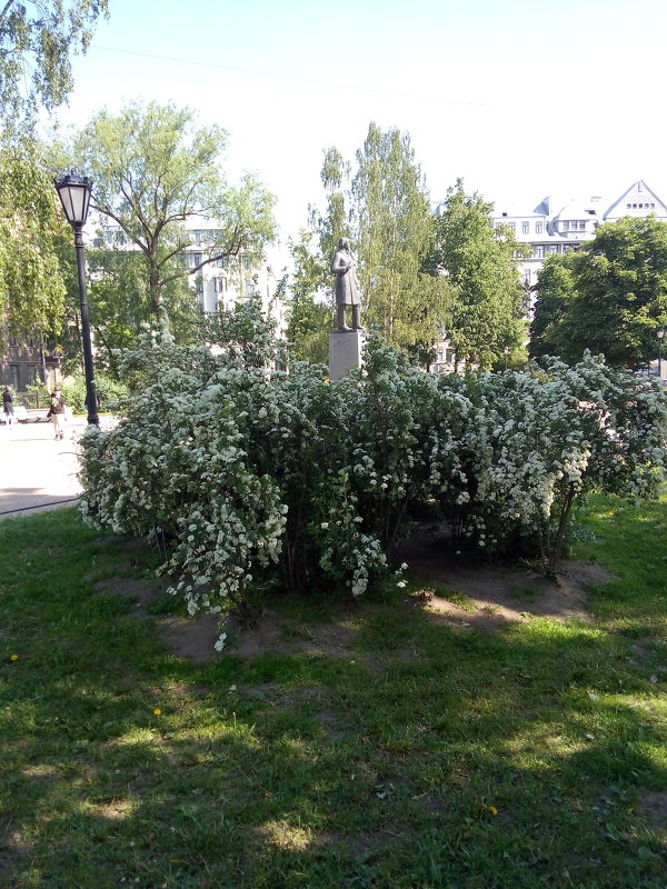 Некрасовский садик. (Санкт-Петербург). - Светлана Калмыкова