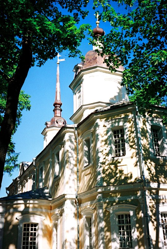 в Царском Селе - Дмитрий Солоненко