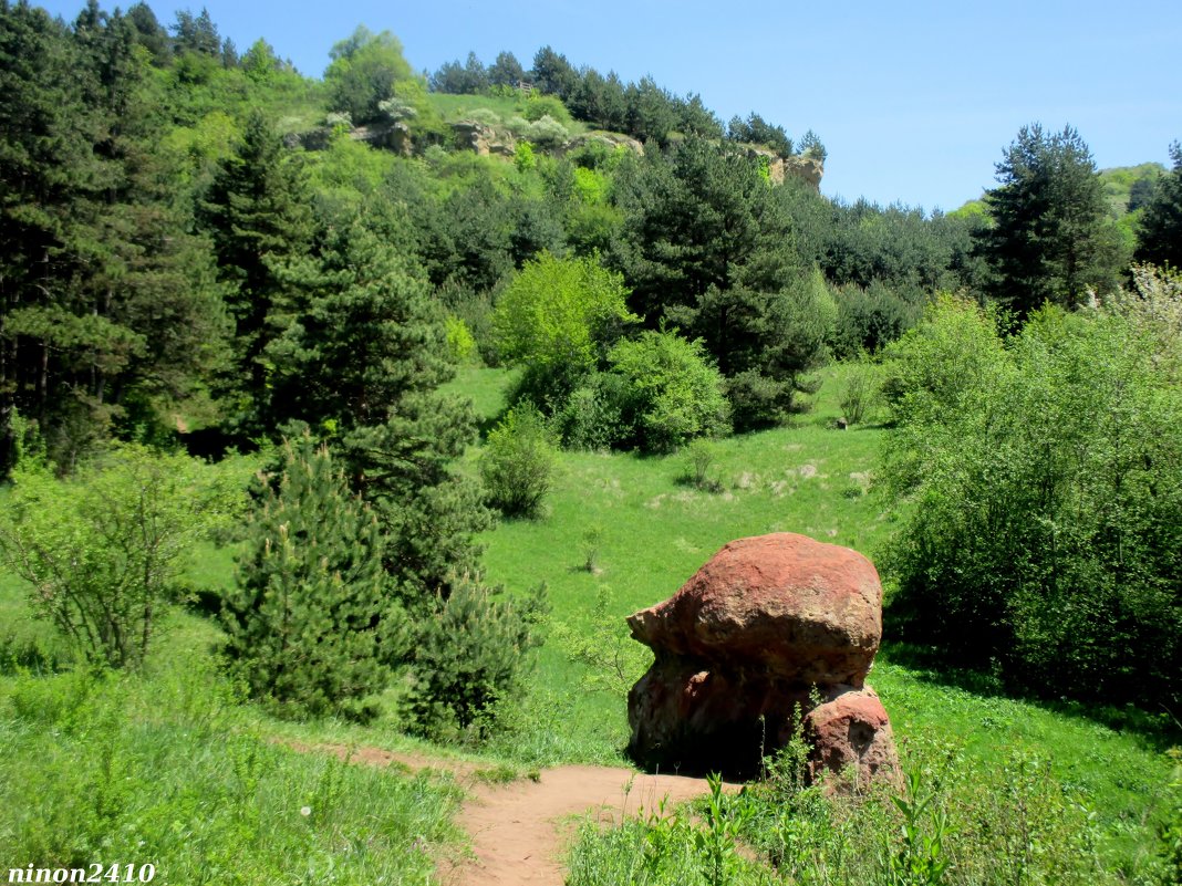 Кисловодск. В курортном парке - Нина Бутко