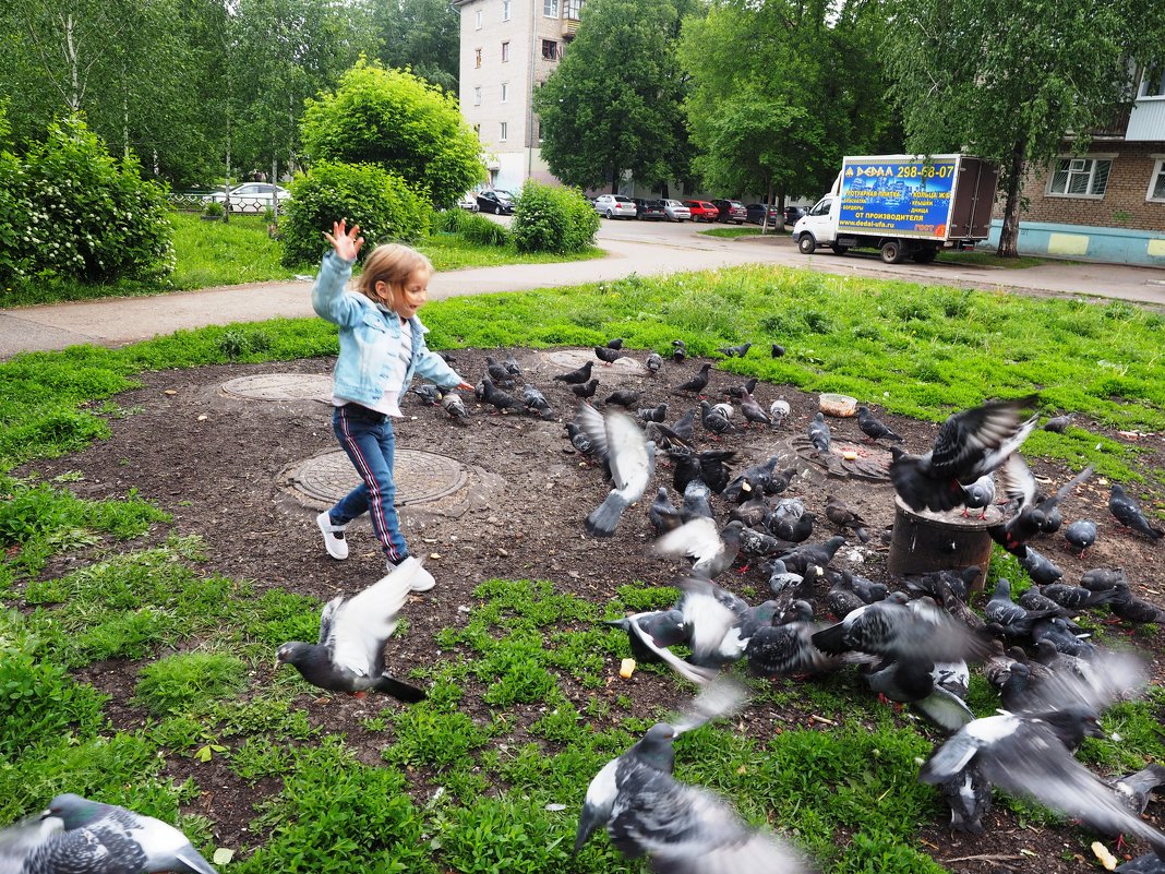 Не пугайте голубей. - Ильсияр Шакирова