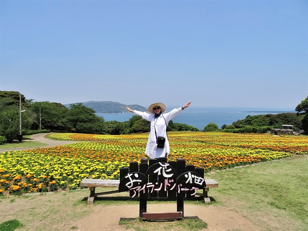 Остров Nokonoshima Island Park во время цветения тагетес Япония - wea *