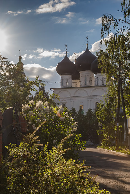 *** - Наталья Кузнецова