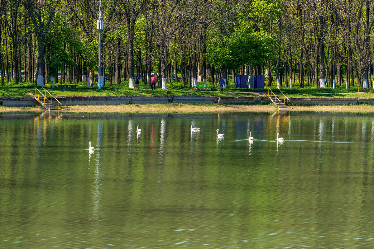 Городское водохранилище - Игорь Сикорский