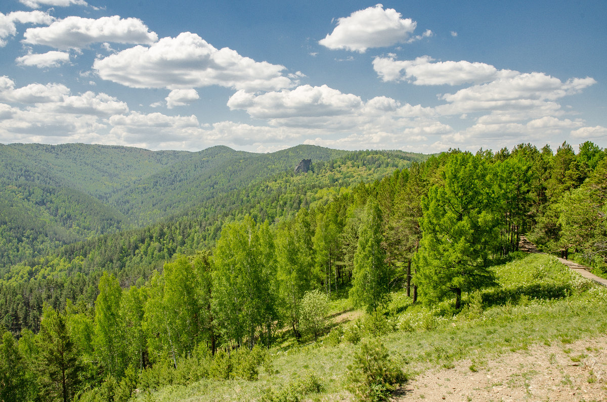 Красноярск - Светлана Винокурова