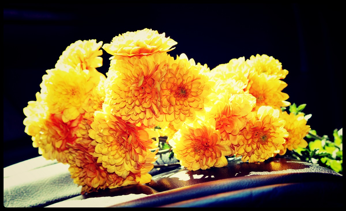 Желтые хризантемы - Natalya секрет