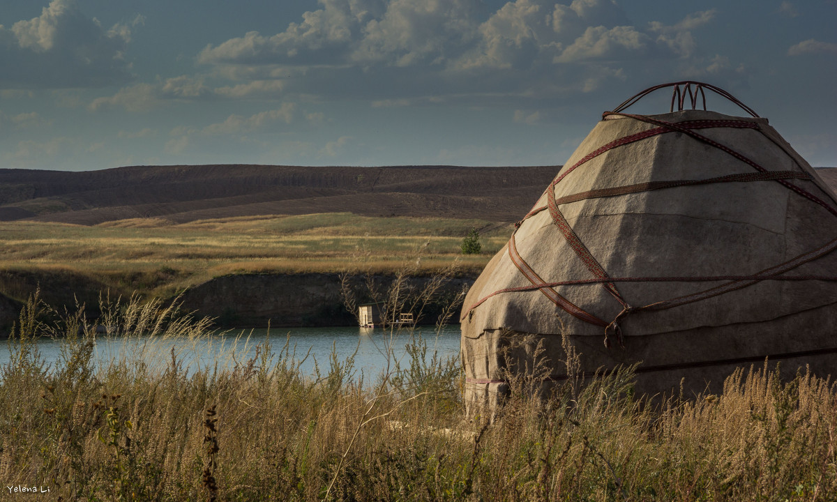 Yurt - Yelena Li