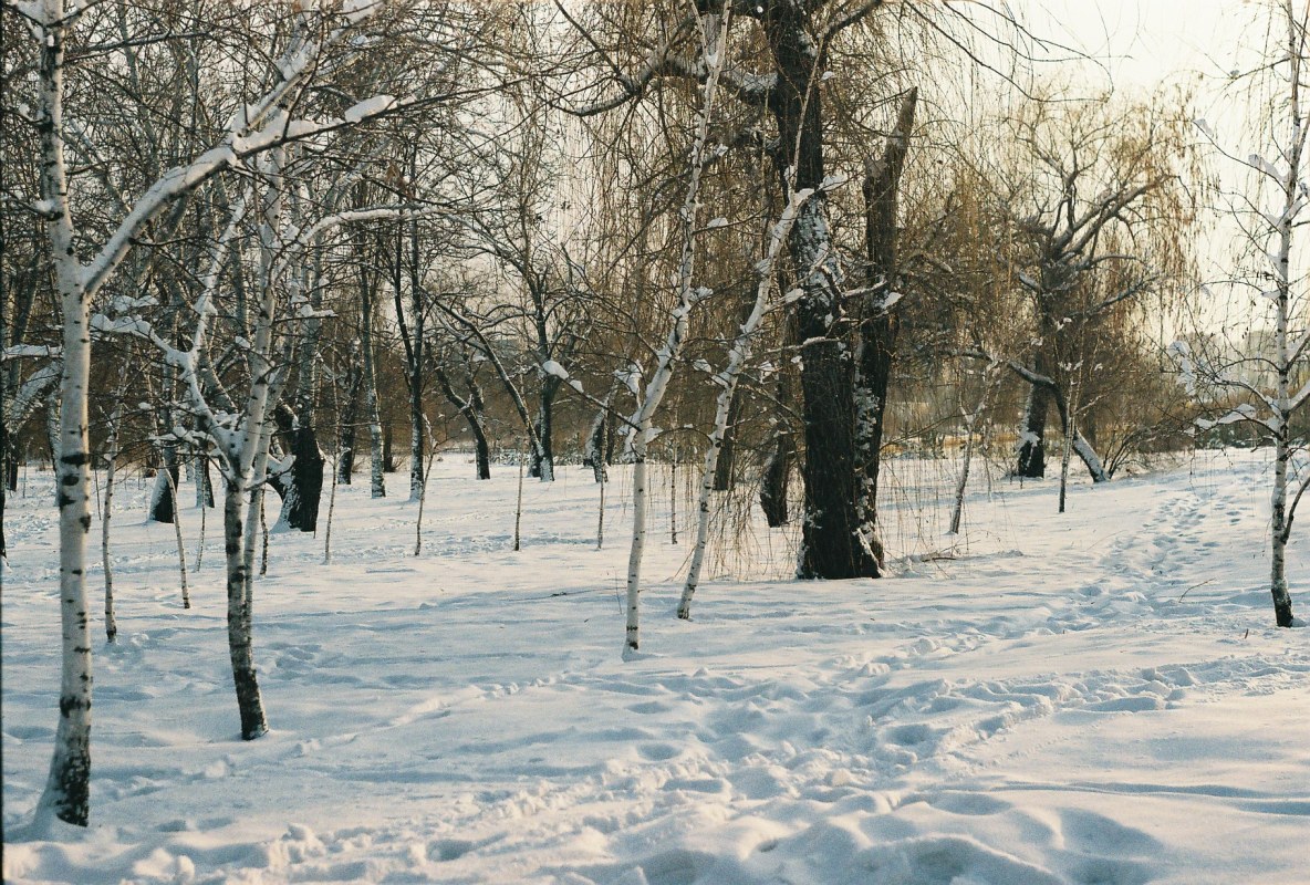 фото - Егор Гребенюк