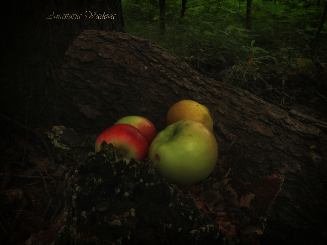 Яблоки в лесу - Анастасия Вадова
