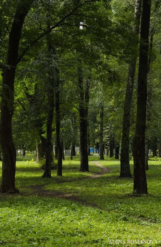 Тропа - Алёна Романова