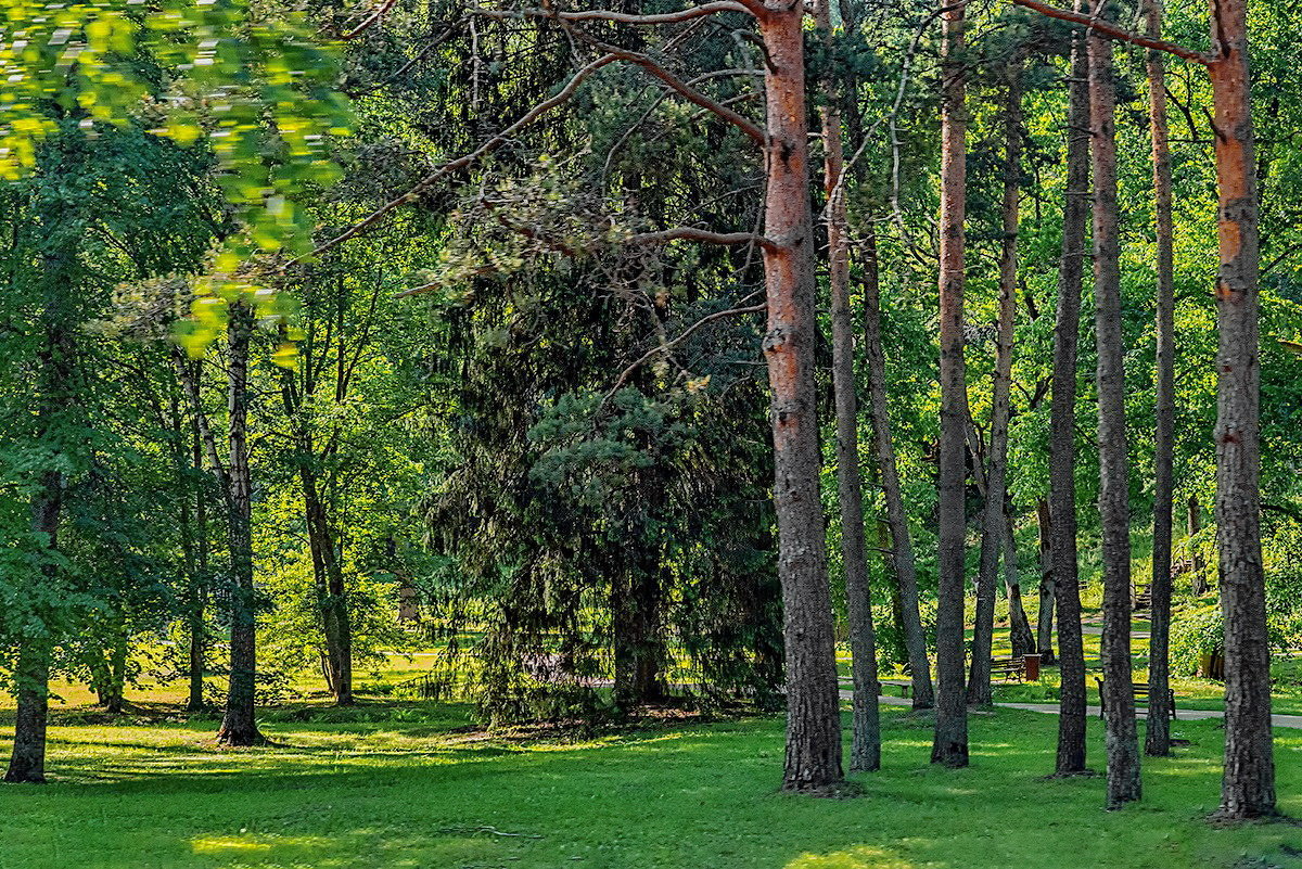 Summer in Sigulda 2 - Arturs Ancans