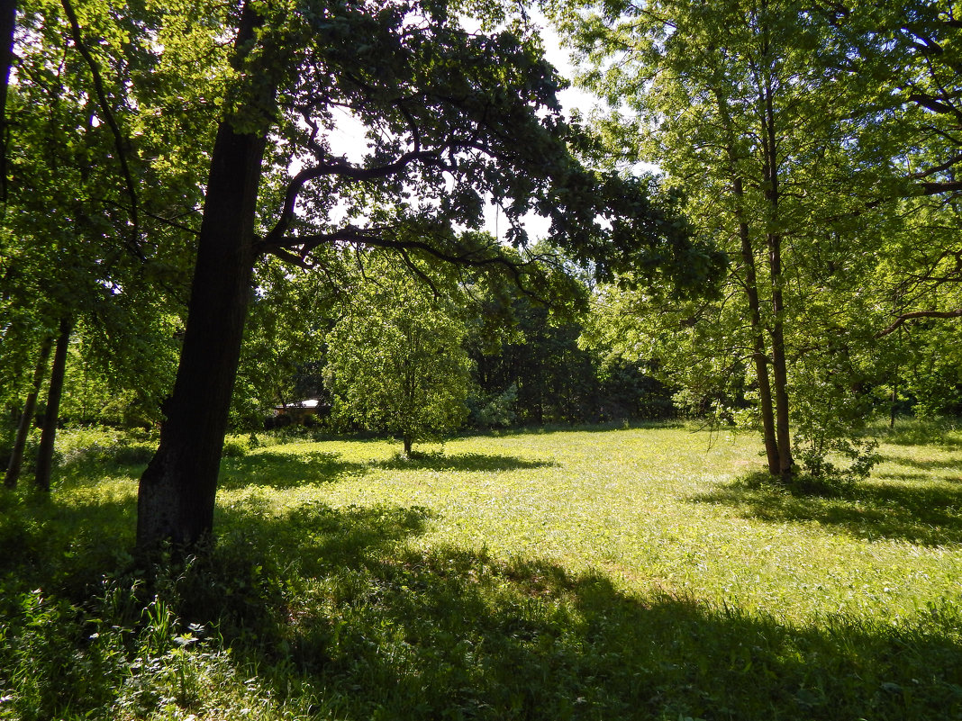 Санкт-Петербург. Царское Село. - Лариса (Phinikia) Двойникова