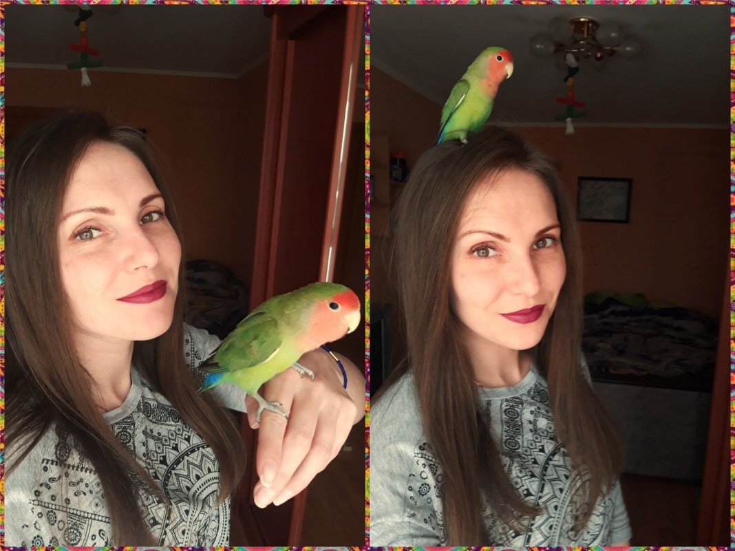 Девочка с попугаем - Анна 
