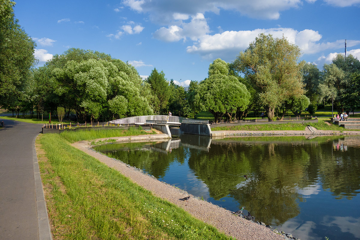 В парке - Андрей Шаронов