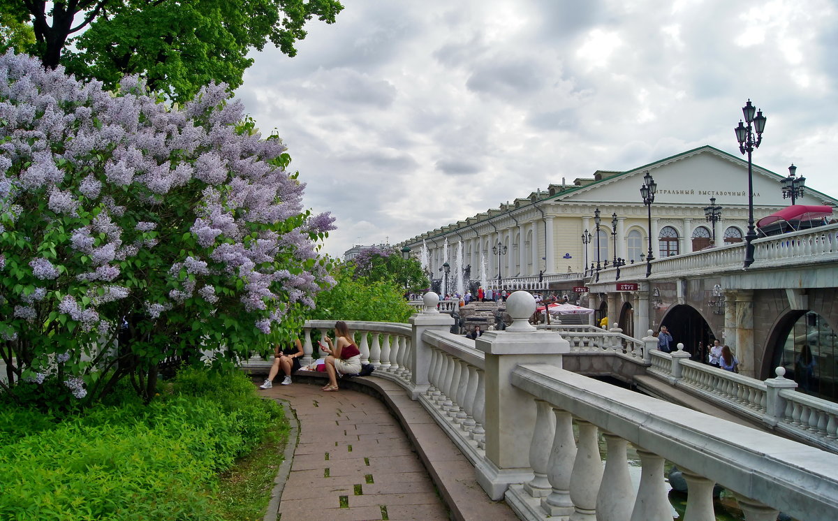 Московская весна-3 - Елена Кирьянова