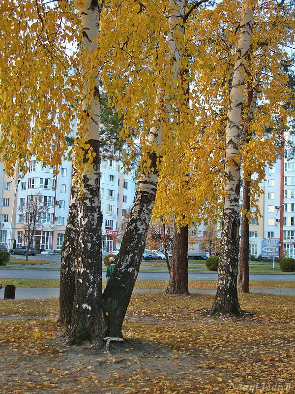 Отблески заката - Лидия (naum.lidiya)