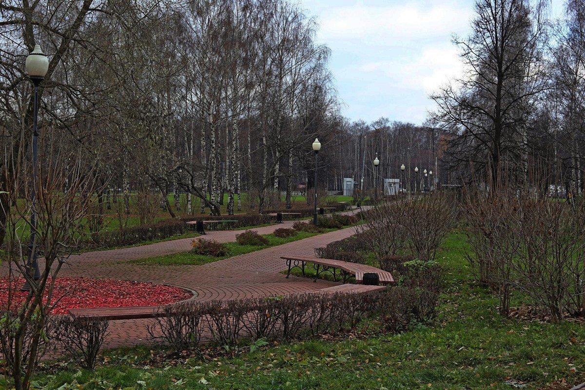 Сад будущего - Игорь Белоногов