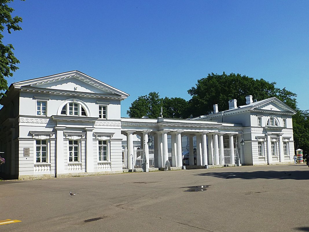 Конюшенный корпус Елагиноостровского дворца - Лидия Бусурина