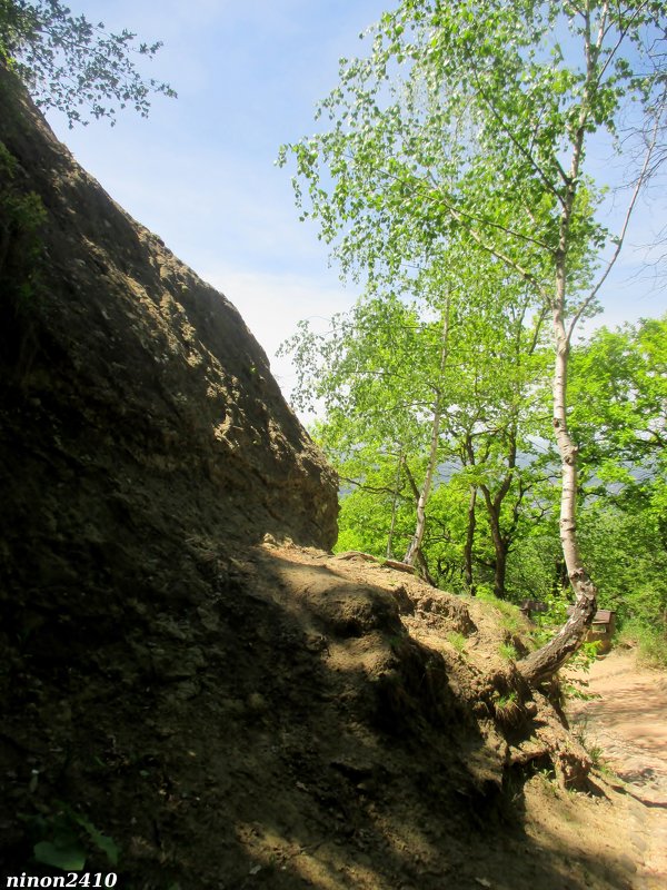 Кисловодск. В курортном парке - Нина Бутко