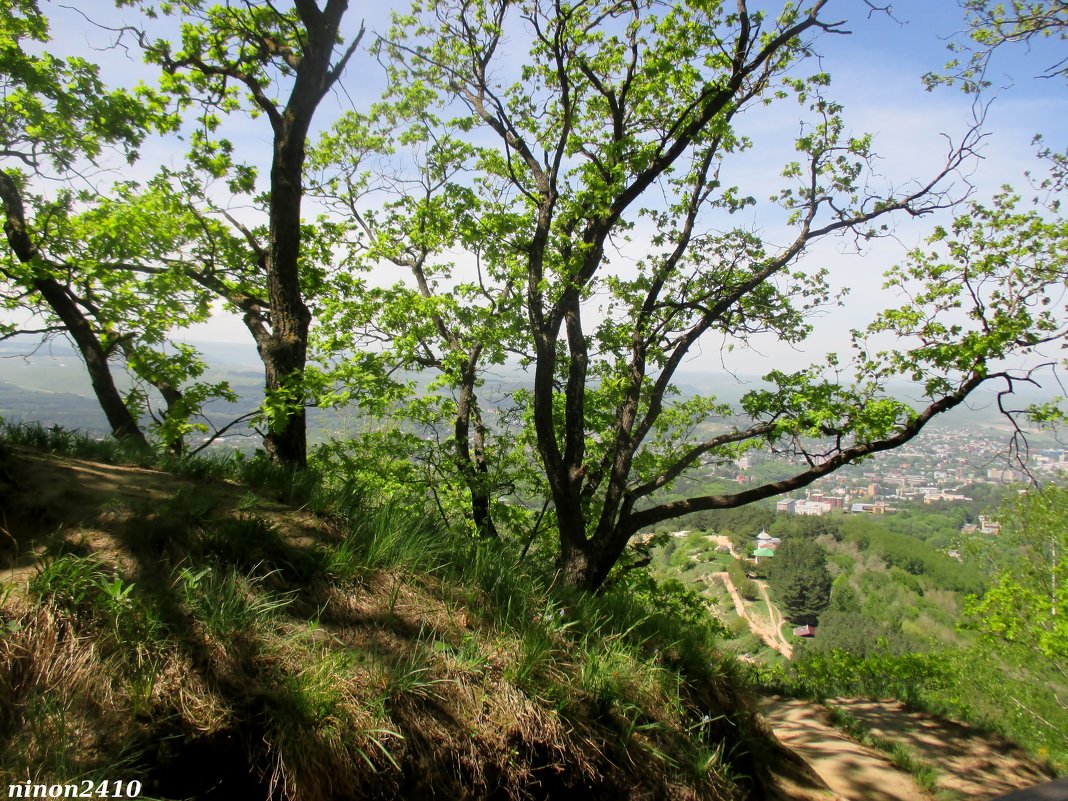 Кисловодск. В курортном парке - Нина Бутко