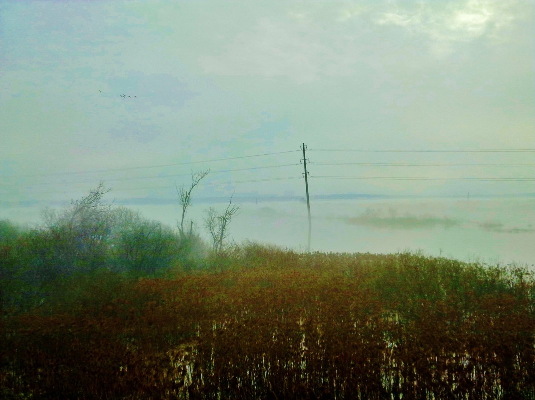 туман - Владимир 