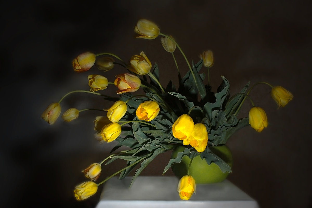 Жёлтые тюльпаны........... - Olenka 