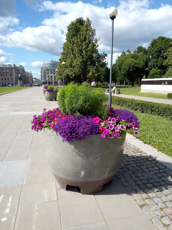 Городской украшение на Пионерской пл. в Петербурге. - Светлана Калмыкова