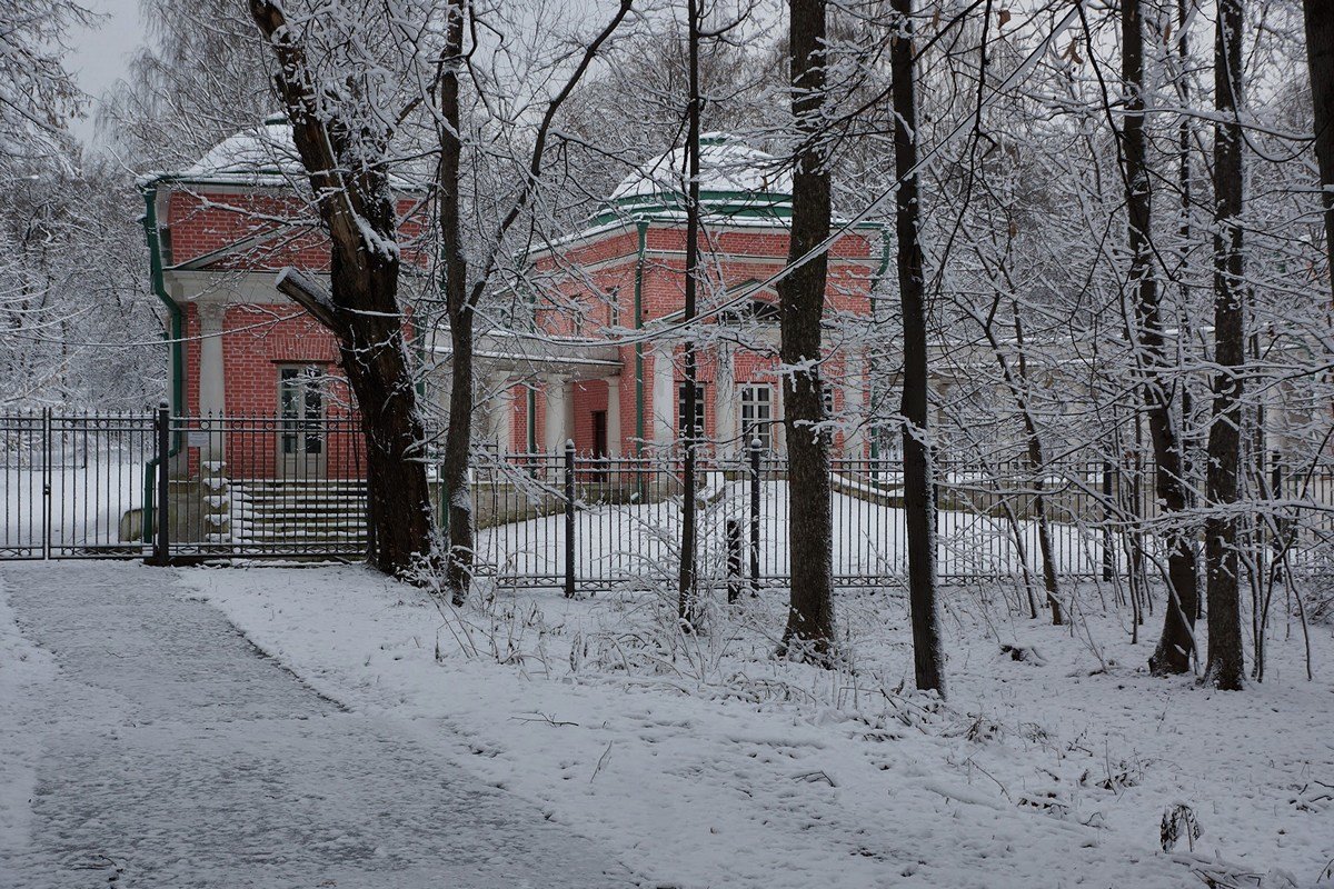 В Кузьминском парке - Игорь Белоногов