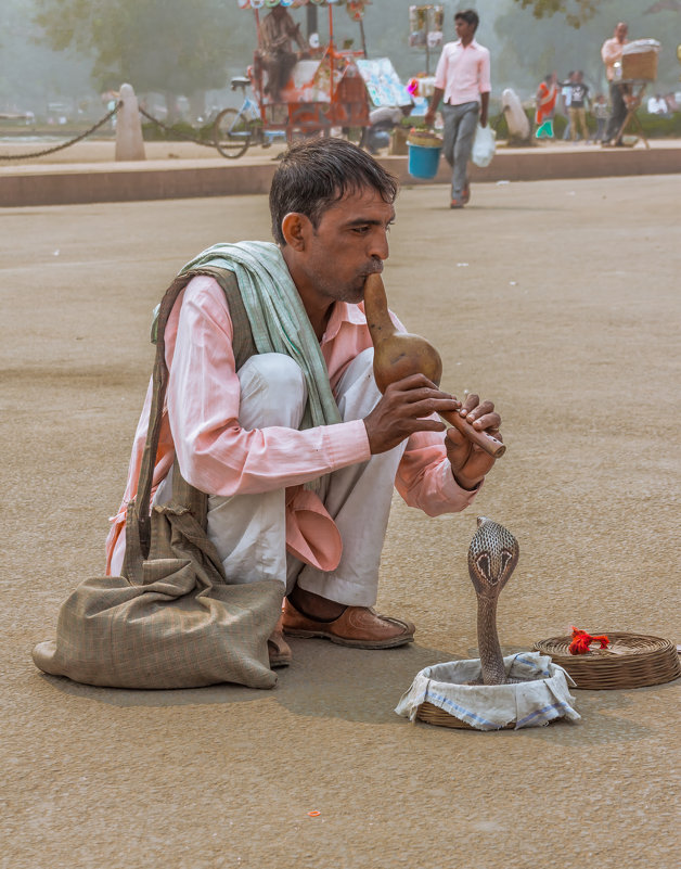 Indian snake charmer - Евгений Бубнов