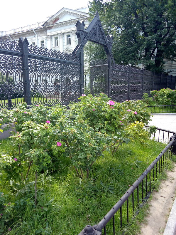 Интересная решетка в саду Сан-Галли. - Светлана Калмыкова