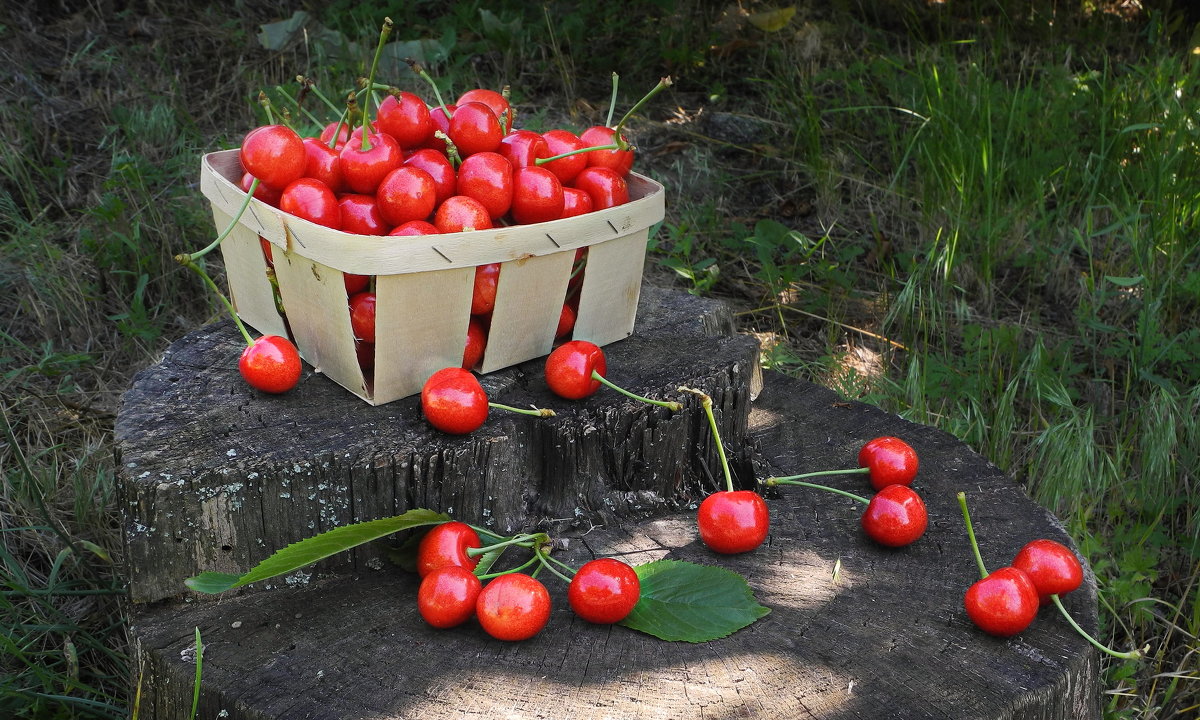 ... - Сергей Фунтовой 