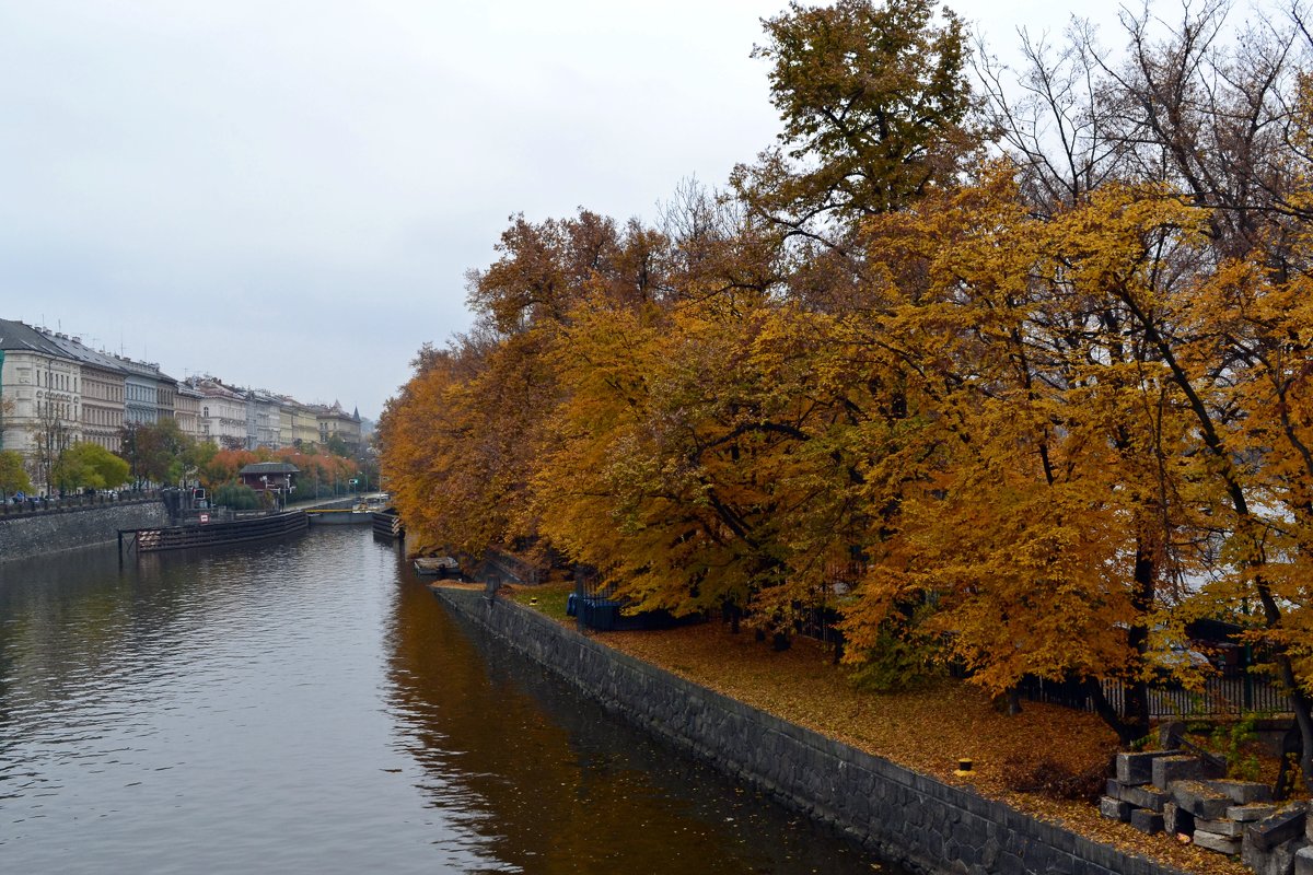 Осень у Влтавы - Ольга 
