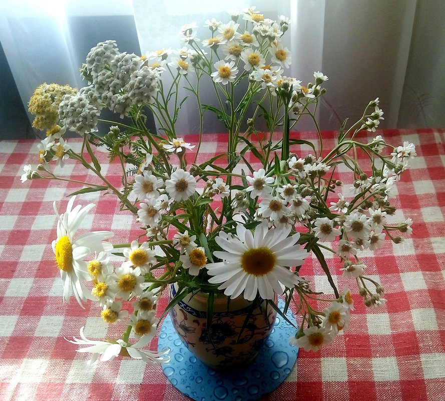 Полевые цветы - Елена Павлова (Смолова)