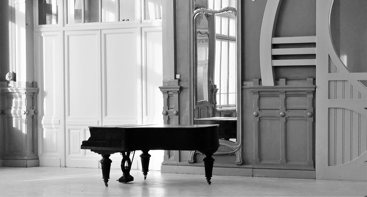 Черный рояль... - Elena Ророva