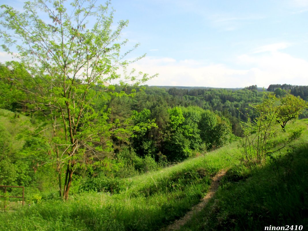 Кисловодск. В курортном парке - Нина Бутко