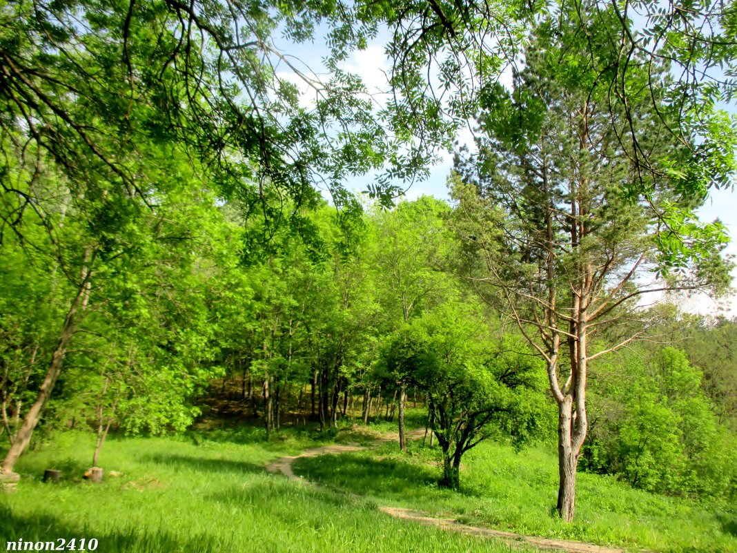 Кисловодск. В курортном парке - Нина Бутко