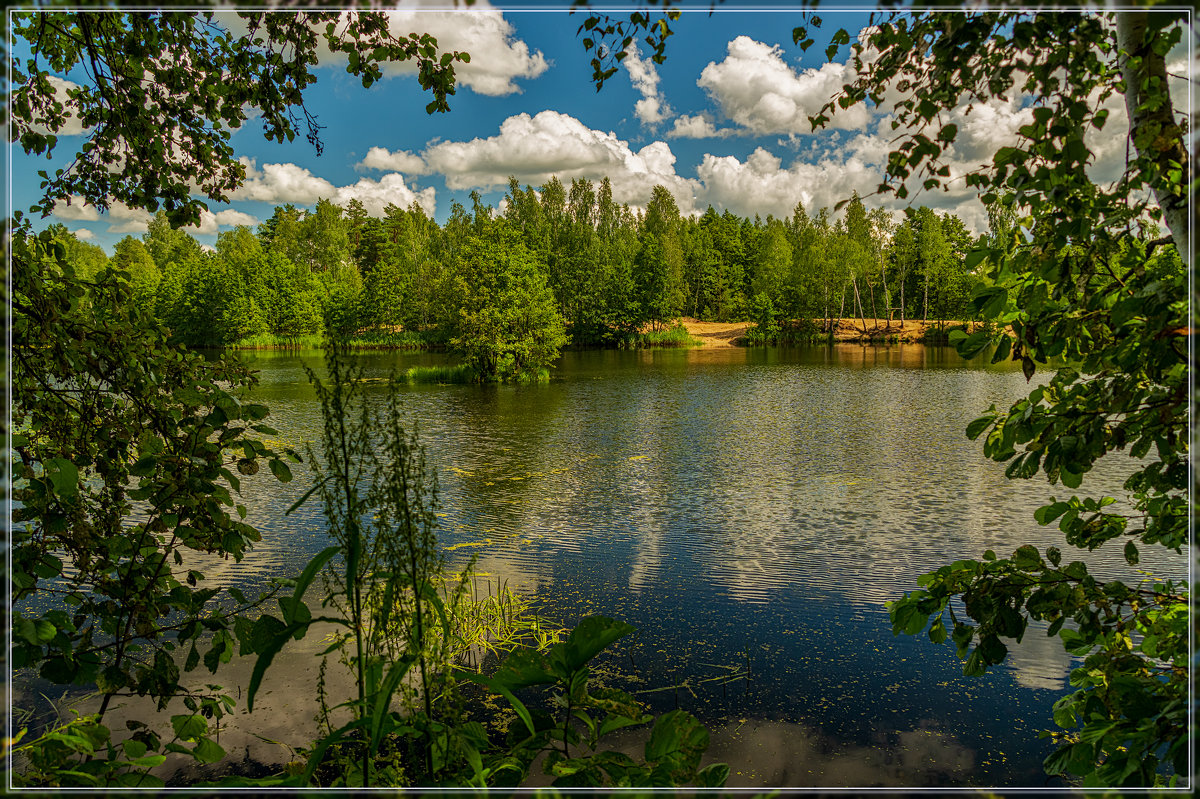 Лесное озеро, июль .... - Андрей Дворников
