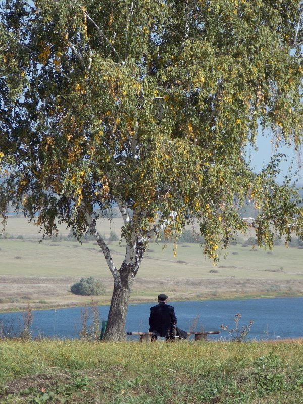 На берегу реки Ока - Galina Solovova