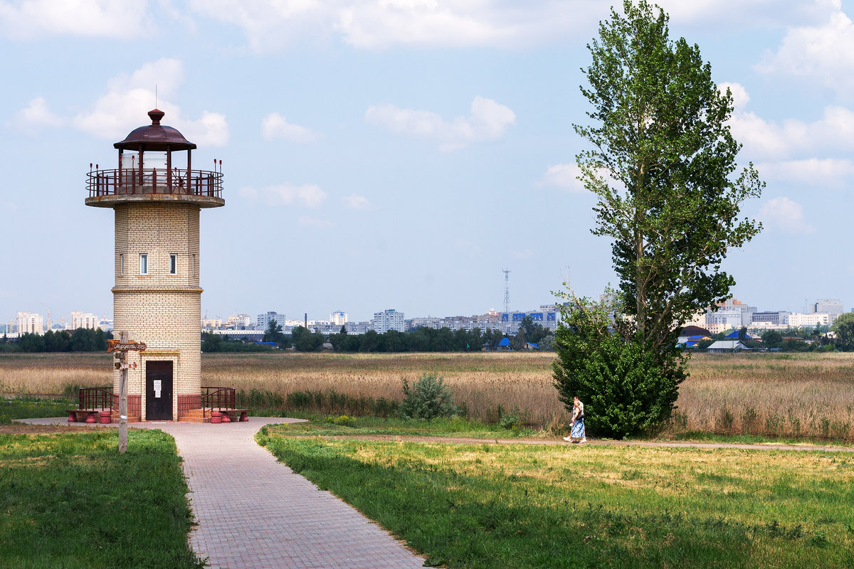 Карта птичья гавань