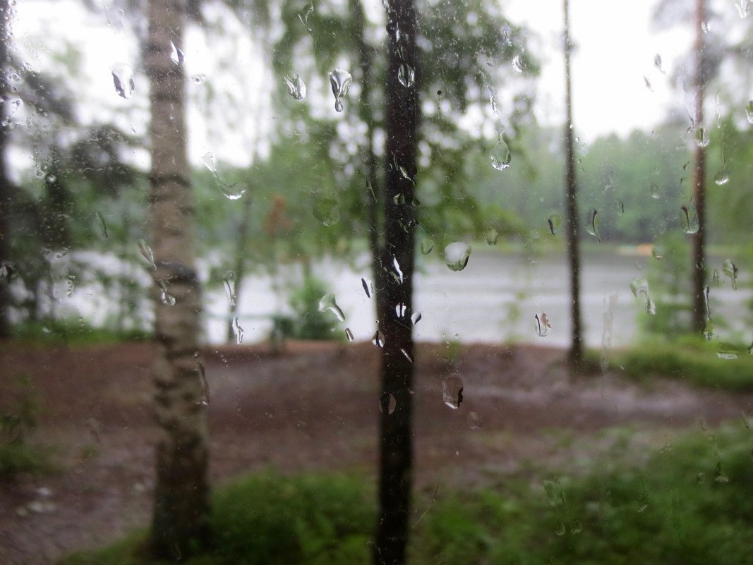 дождливый день - Елена 