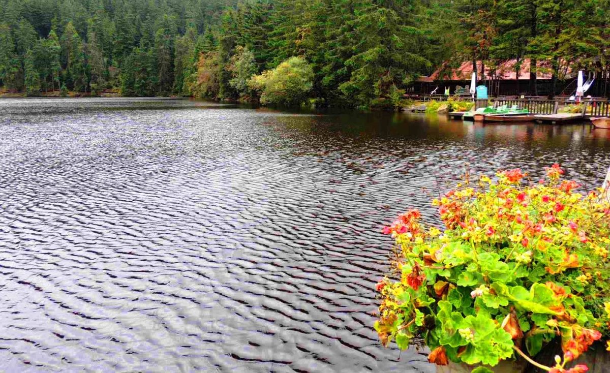 Это черное озеро черное,под водою скрывает неясное.... - Гала 