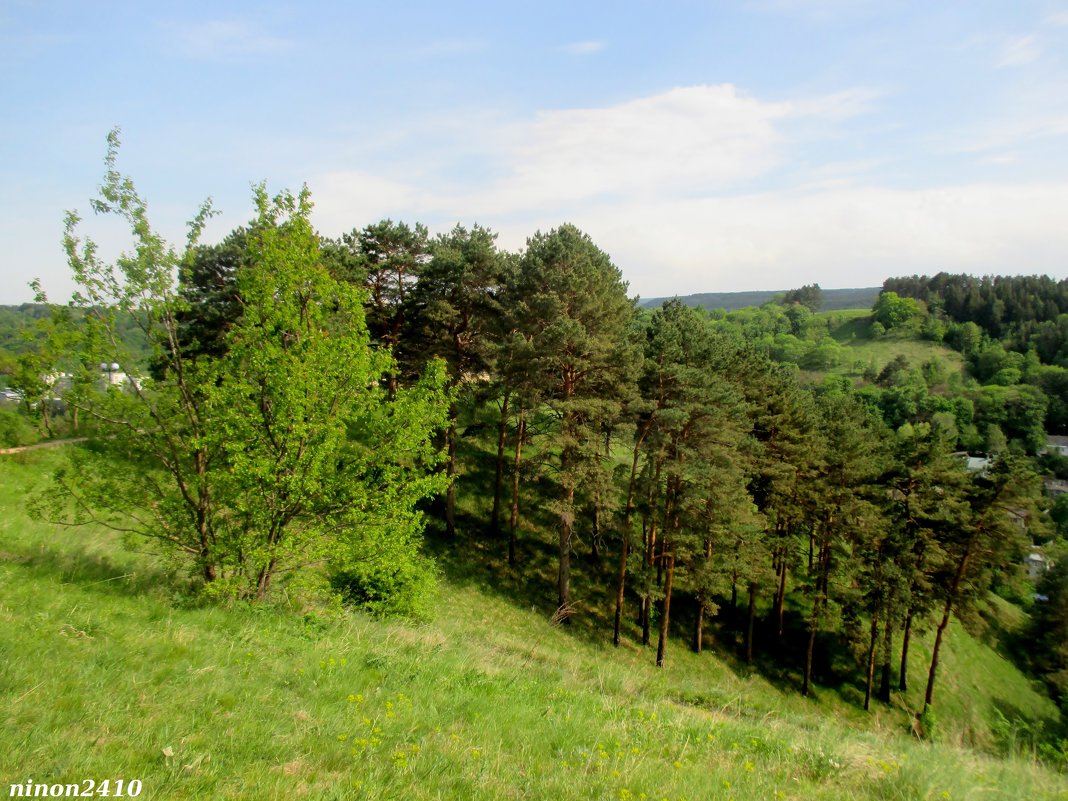 Кисловодск. В курортном парке - Нина Бутко